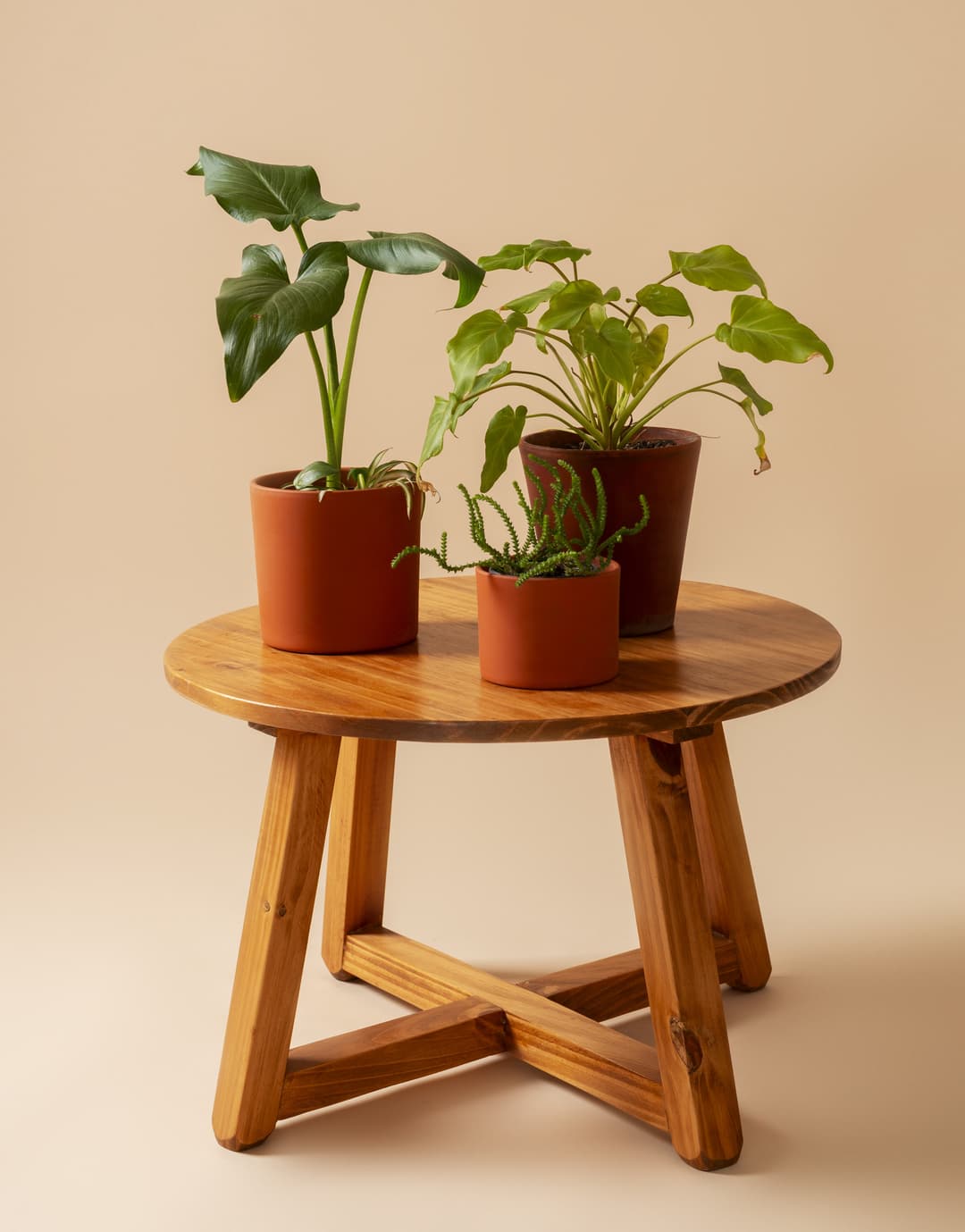 Read & Share Plant Care Blogs